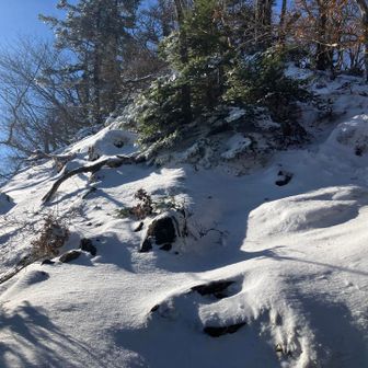 誰も踏んでないところは良き