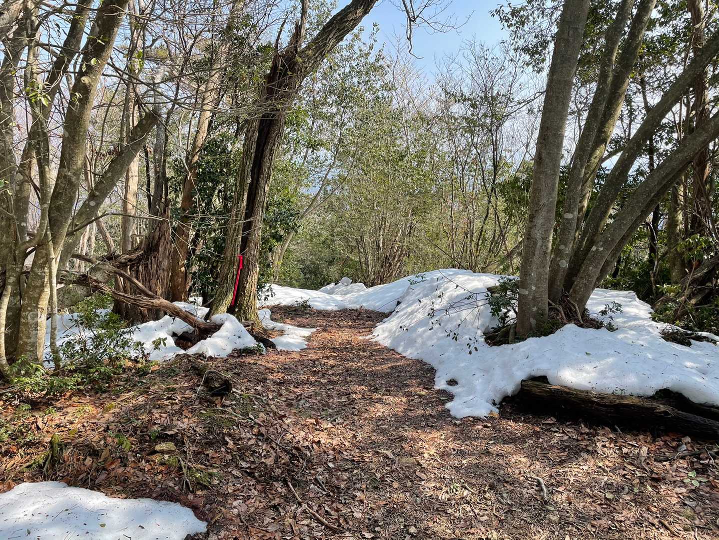 龍神コースはこんな
残雪がある…