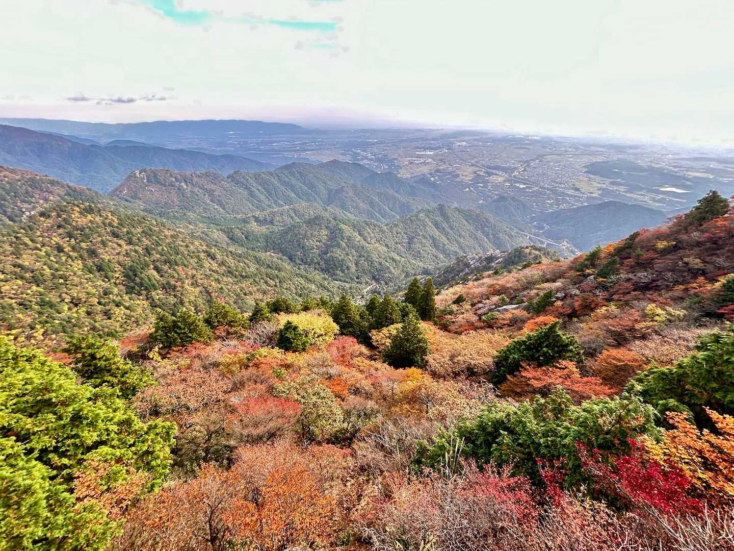 前回の浅間山のような黄一色の紅葉もいいけど、色んな色が混じってるのもステキ🍁