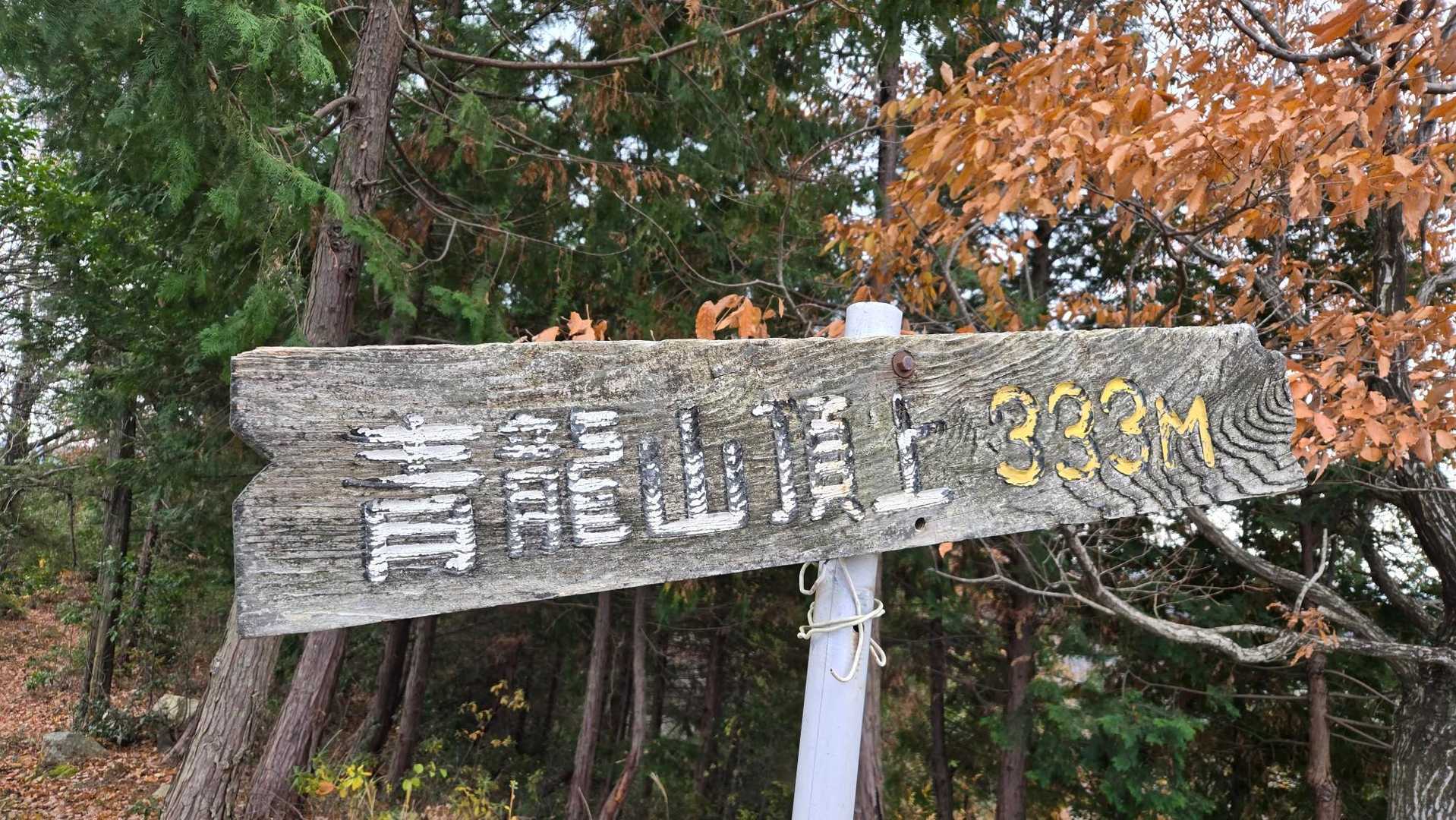 青竜山 往復コースの写真