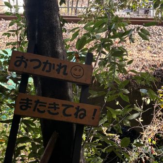 最後の最後に急斜面で落ち葉の下の岩共々転がるが上手な転び方してセーフ😅懲りずに、また来ます😊