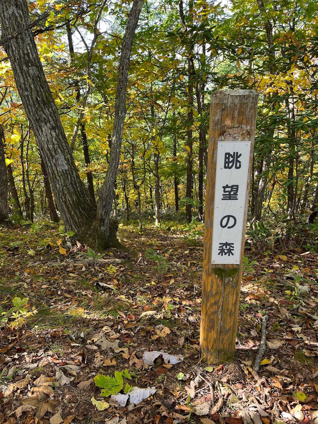 新嵐山遊歩道入口-新嵐山 周回コースの写真