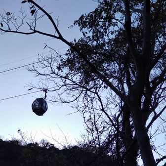 ハーブ園から新神戸駅へ
