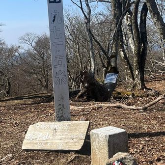 くまモンもポーズ