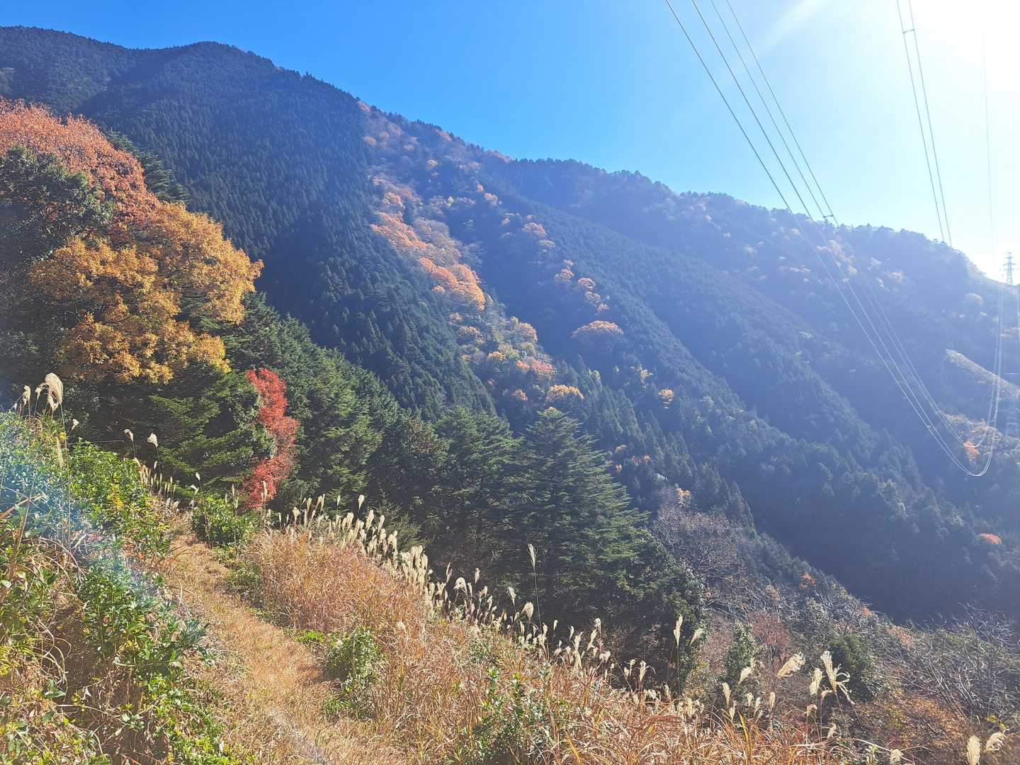 鉄塔広場に戻ってきた
ほんとに最高な天気☀️
どこを見ても輝いてて心臓がドキドキした