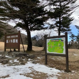 駐車場裏が正解でした