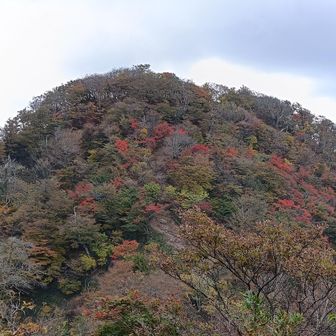 中岳から南岳だったかな。山頂付近は来週あたり見ごろかも