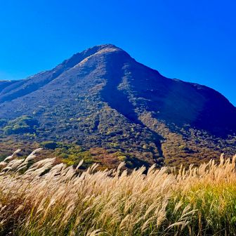 三俣山とススキがいい感じでした🥹
坊がつるから見ると一俣山ですね⛰️
全然三俣じゃないです