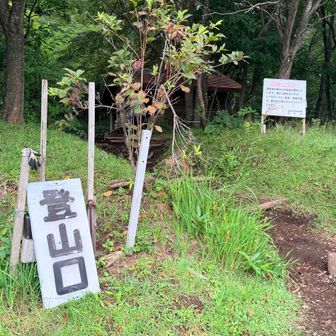綺麗に整備されています