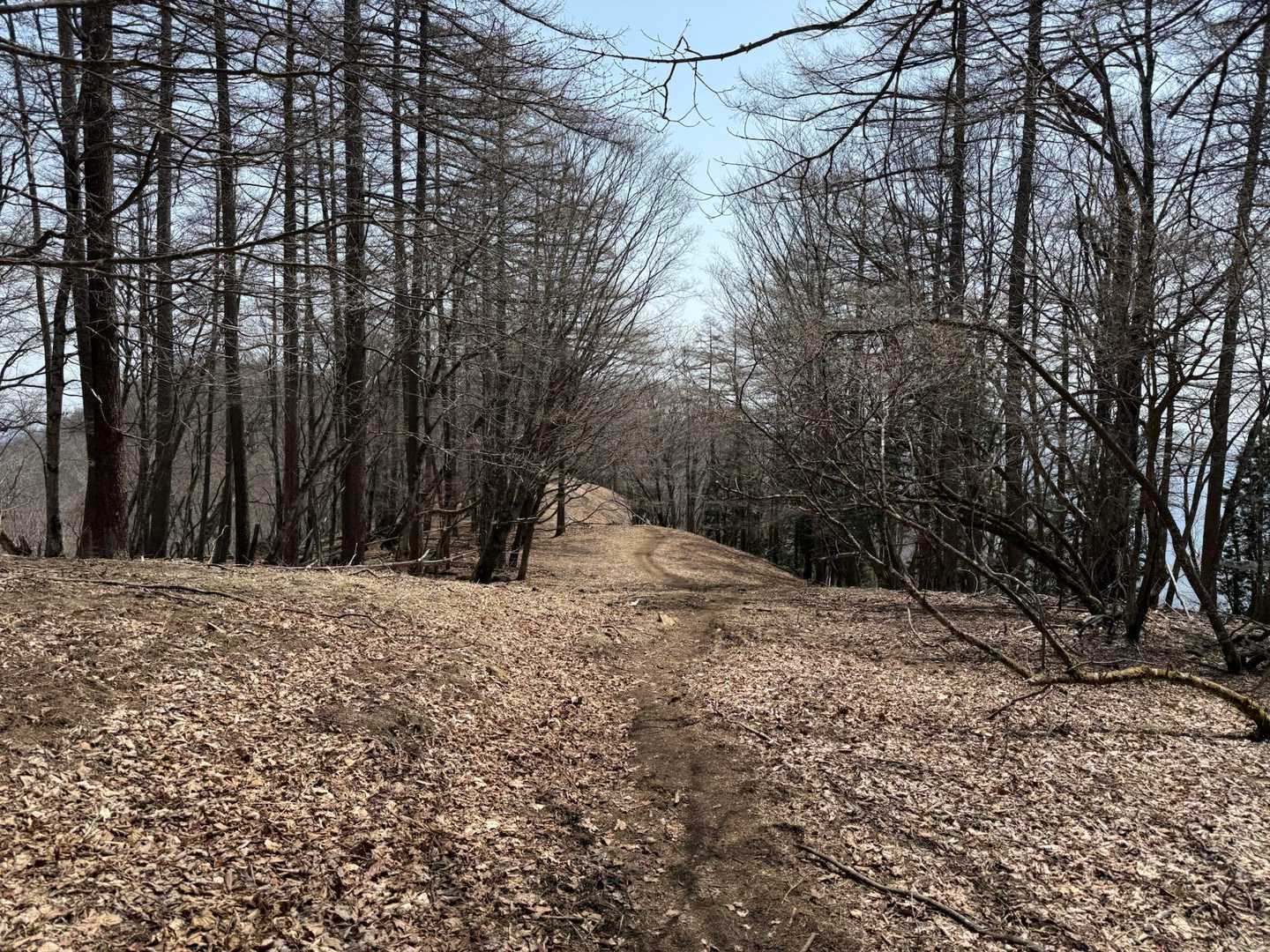 鷹ノ巣山-水根山-城山-六ツ石山-長尾ノ頭 周回コースの写真