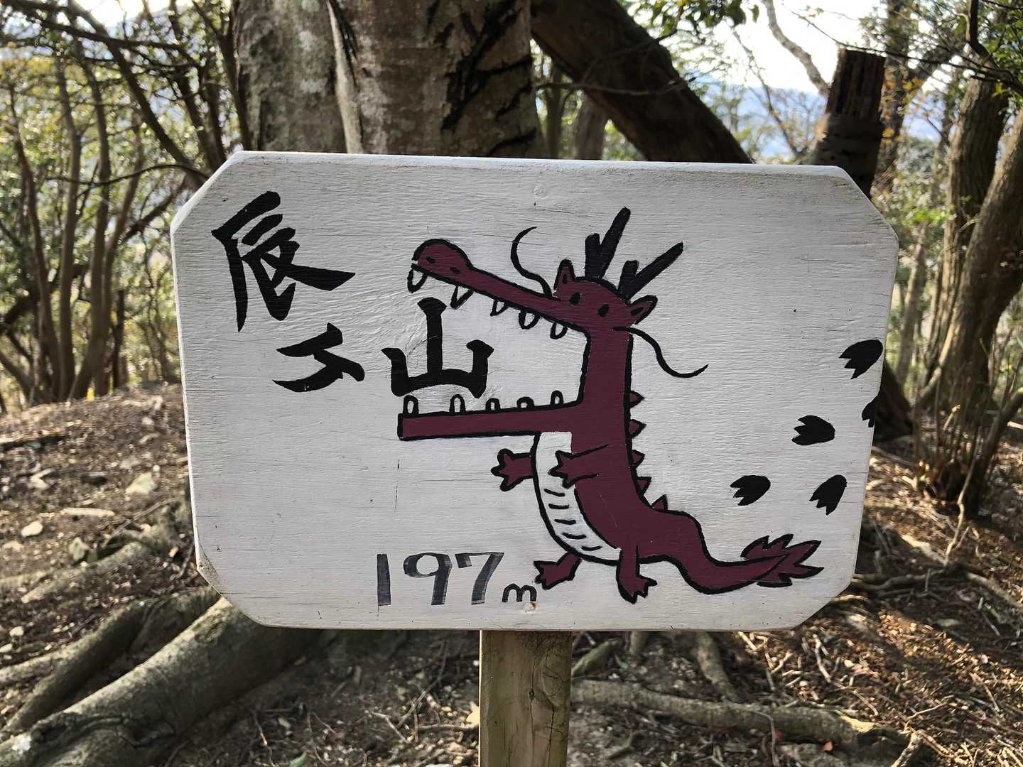 辰ヶ山登山口-辰ヶ山 往復コースの写真