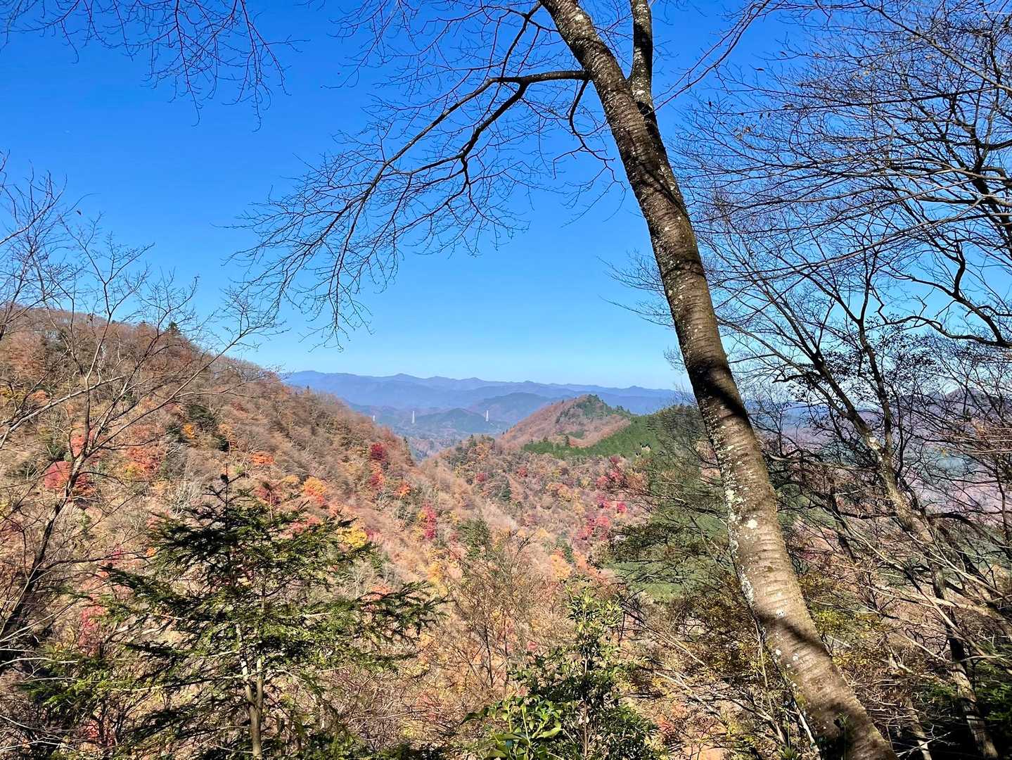 向こうの稜線は、雲取山・鷹ノ巣山・大岳山
