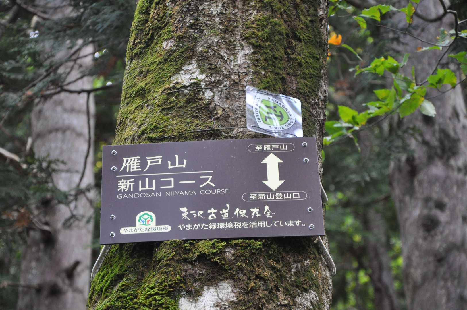 雁戸山 往復コースの写真
