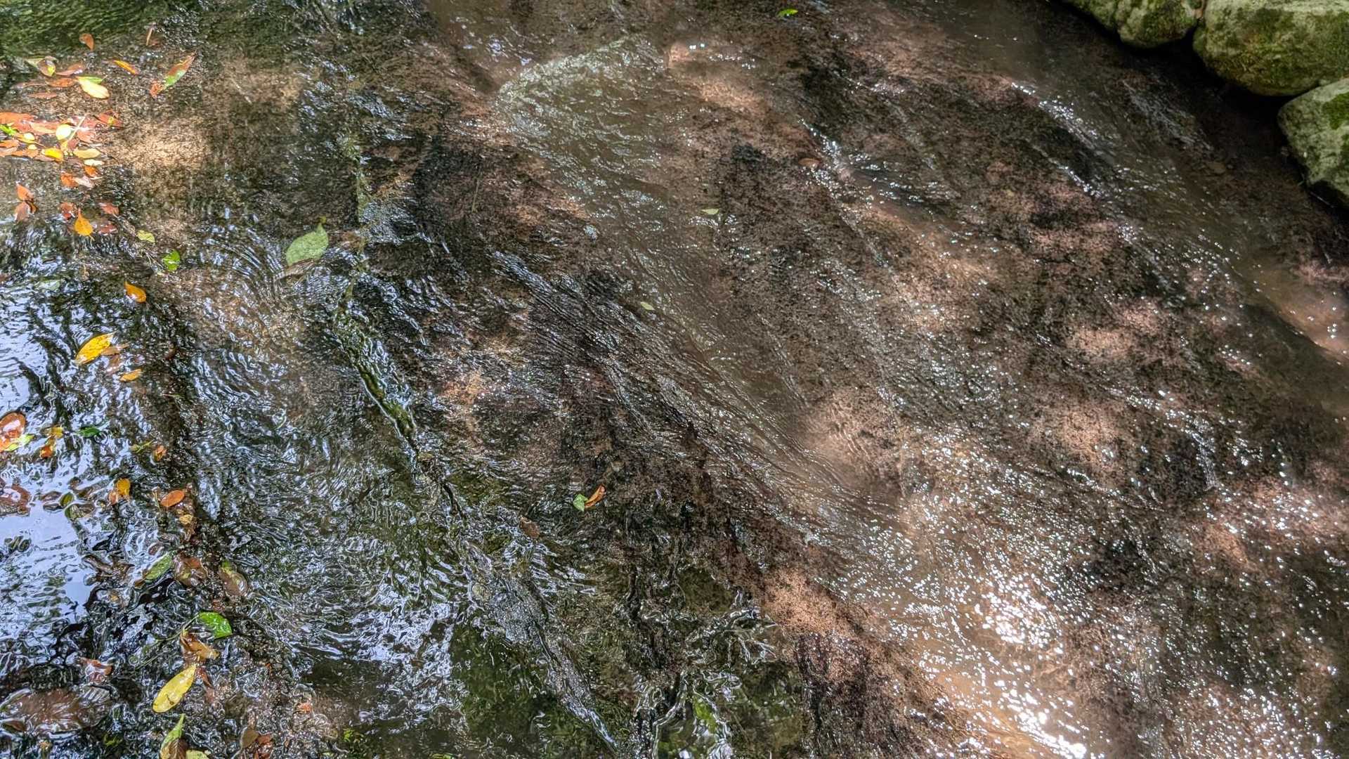 水の深さはサンダルを履いて
脚の指が半分浸かるかつからないか位。
時折、足首までの深さの所もありデコボコしているから足元注意⚠️

流れが優しいので、2，3歳の小さい子も水着を着て沢山歩いています🫧