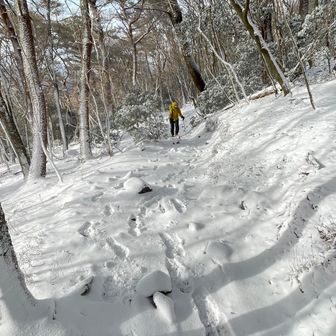 登山道の雪❄️