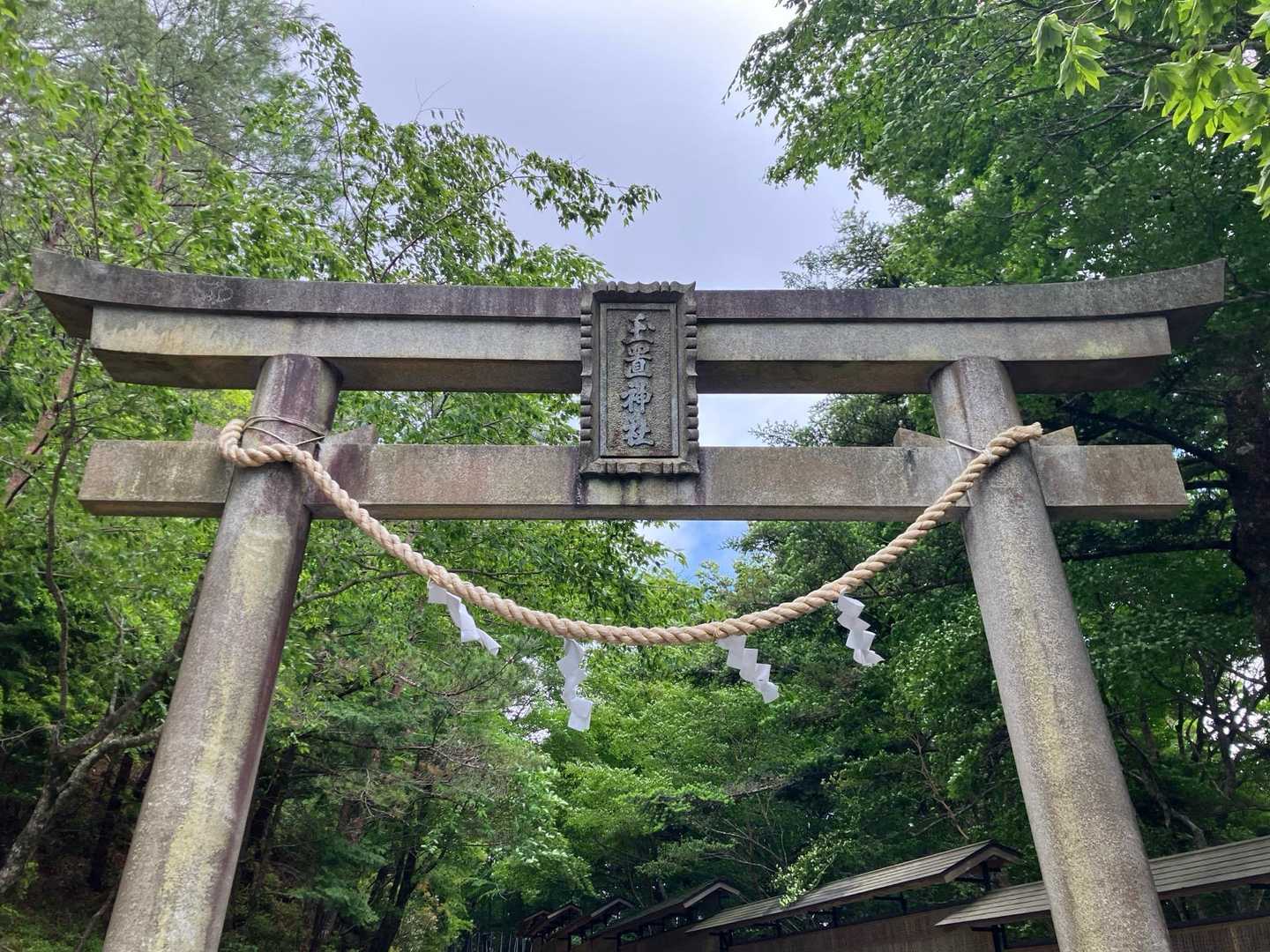 玉置神社-宝冠の森-玉置山 周回コースの写真