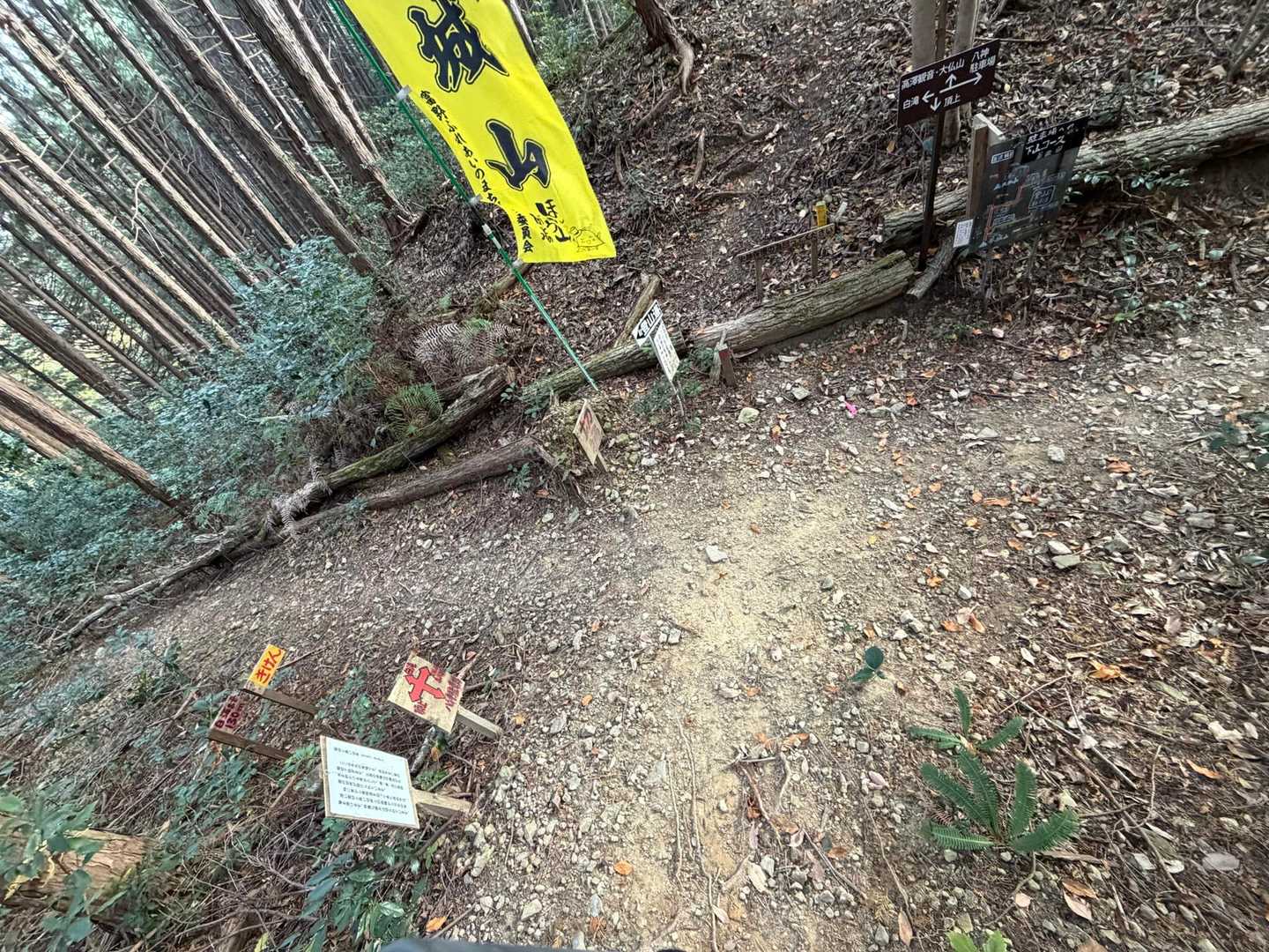 次は白滝寄り道👈
足元滑るのでここだけは健脚向き⚔️