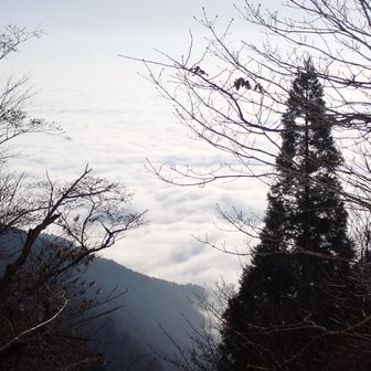 琵琶湖は雲海の下