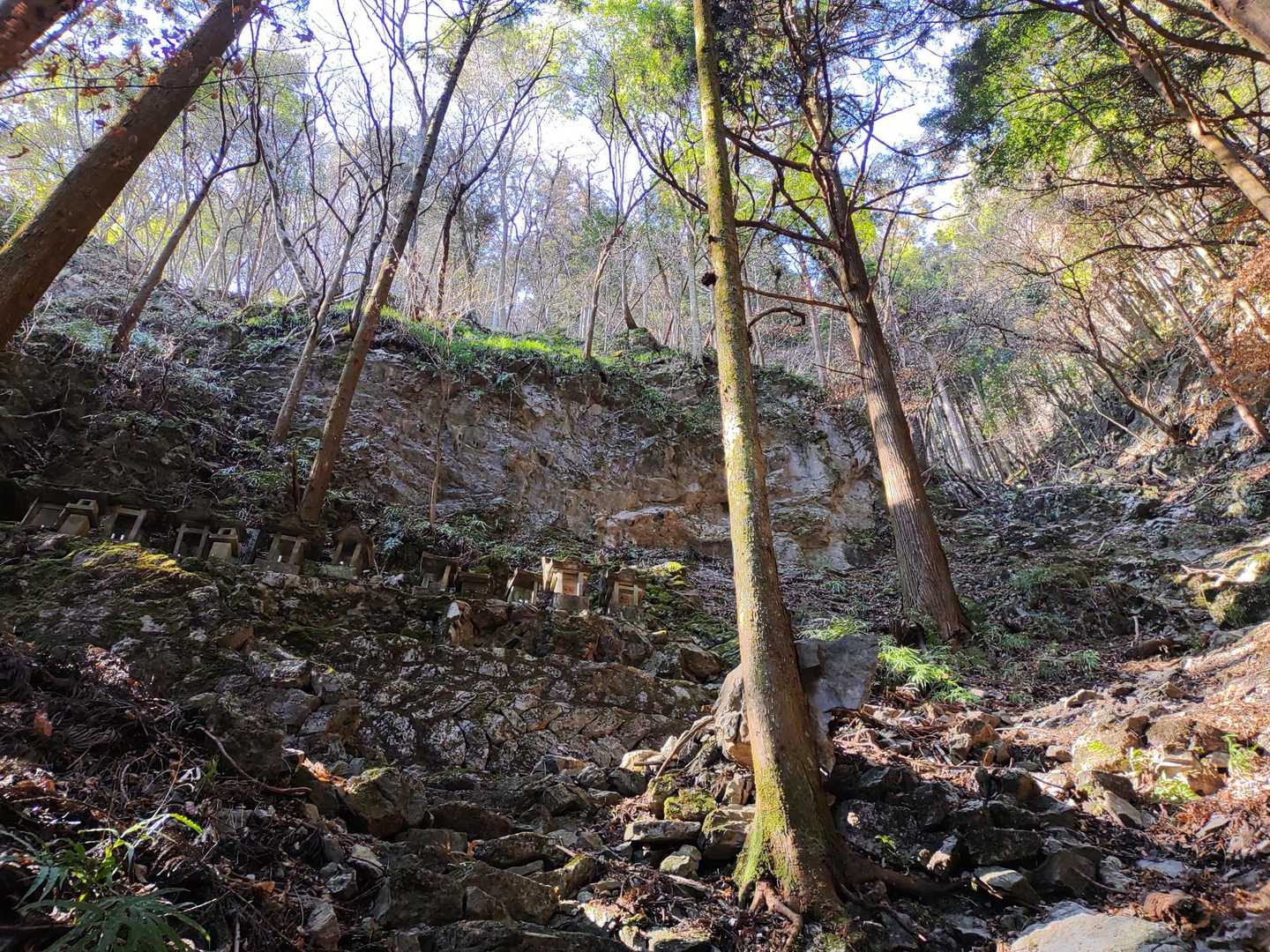 奥の院-三峰山 周回コースの写真
