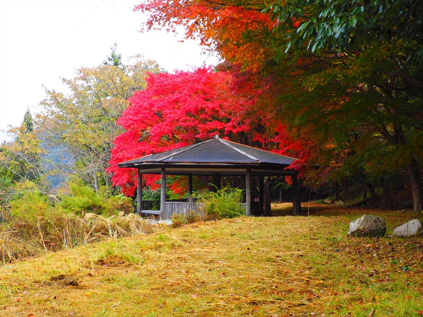 園地の東屋。