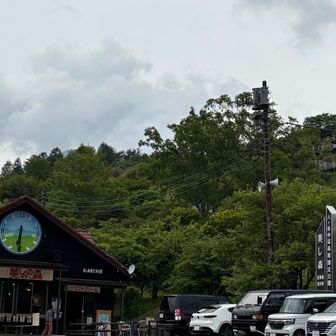 美し森🌳に到着
1時間くらい歩いてきたので
地味に疲れた🤣