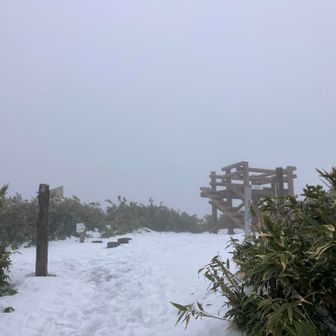 三の丸山頂……