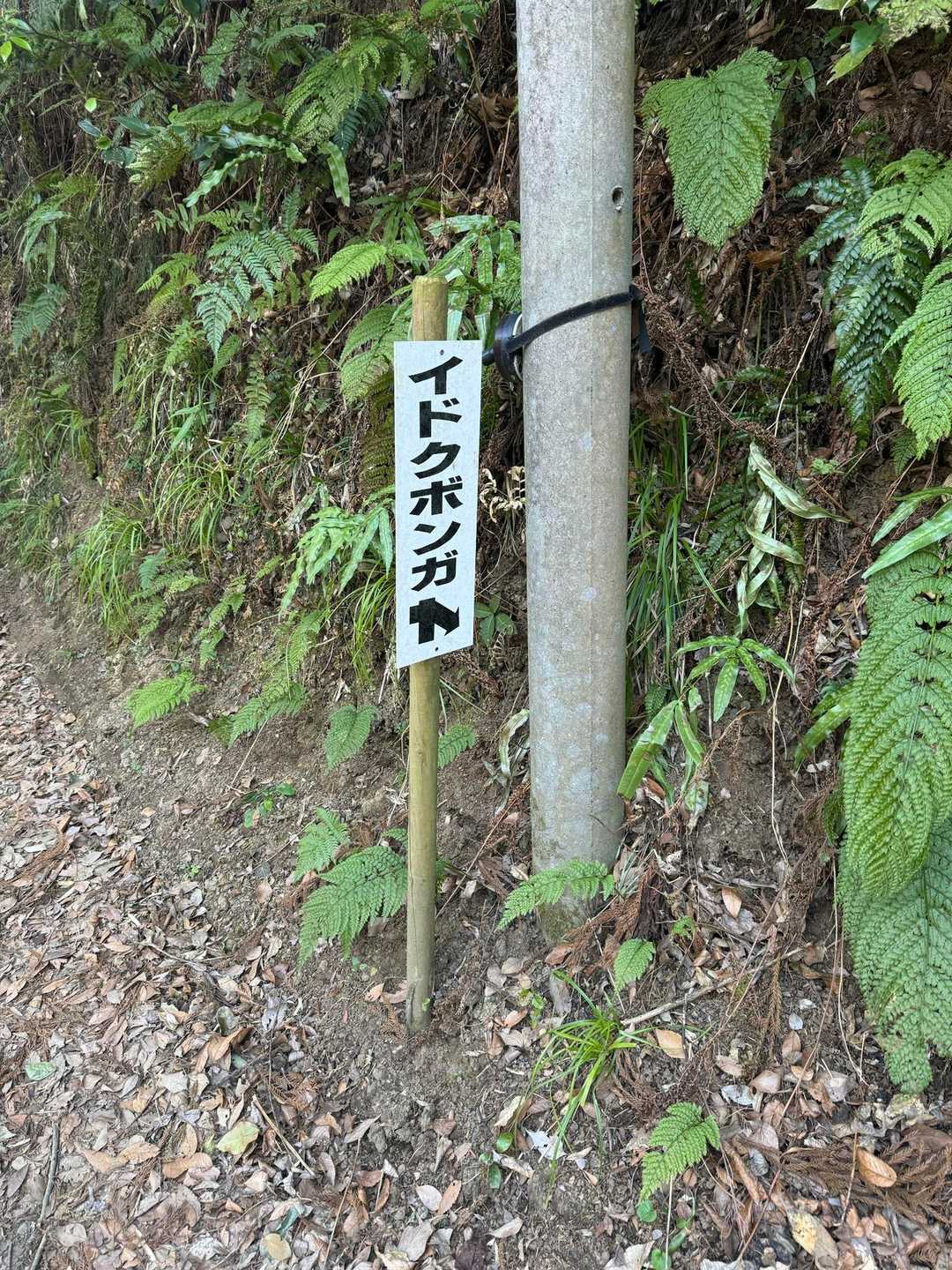 これは何？