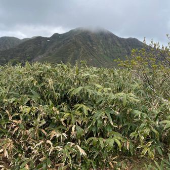 経ヶ岳・法恩寺山 経ヶ岳の山頂がガスってる。