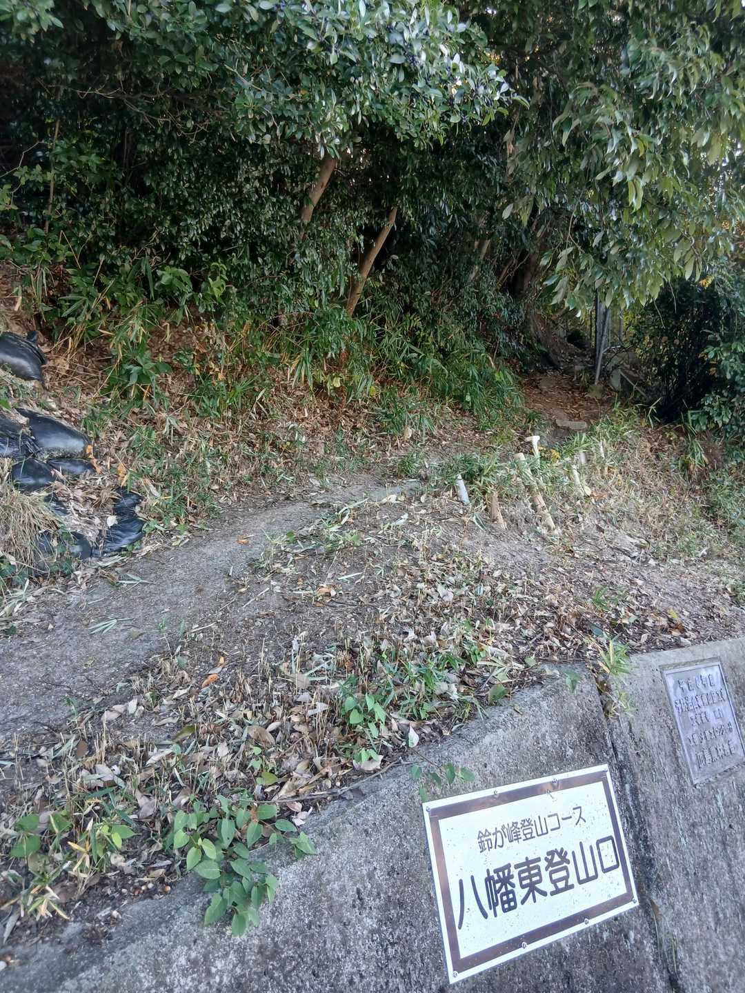 八幡東登山口からスタート
