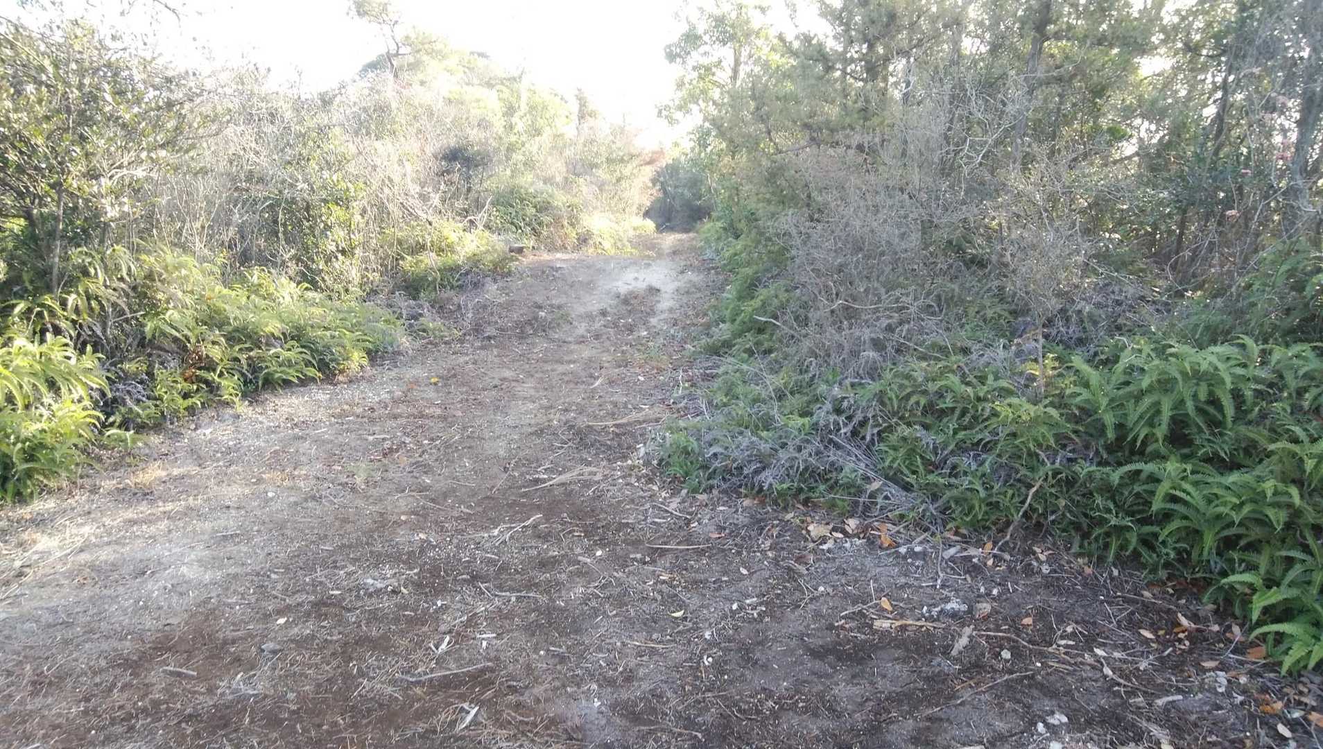 広い山道