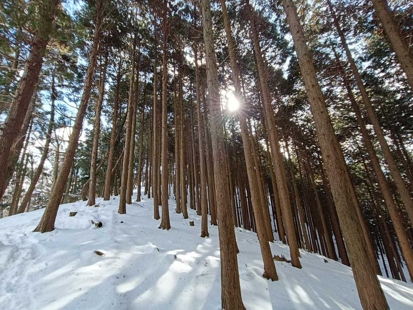 静止画はキレイやけど
風が強い
