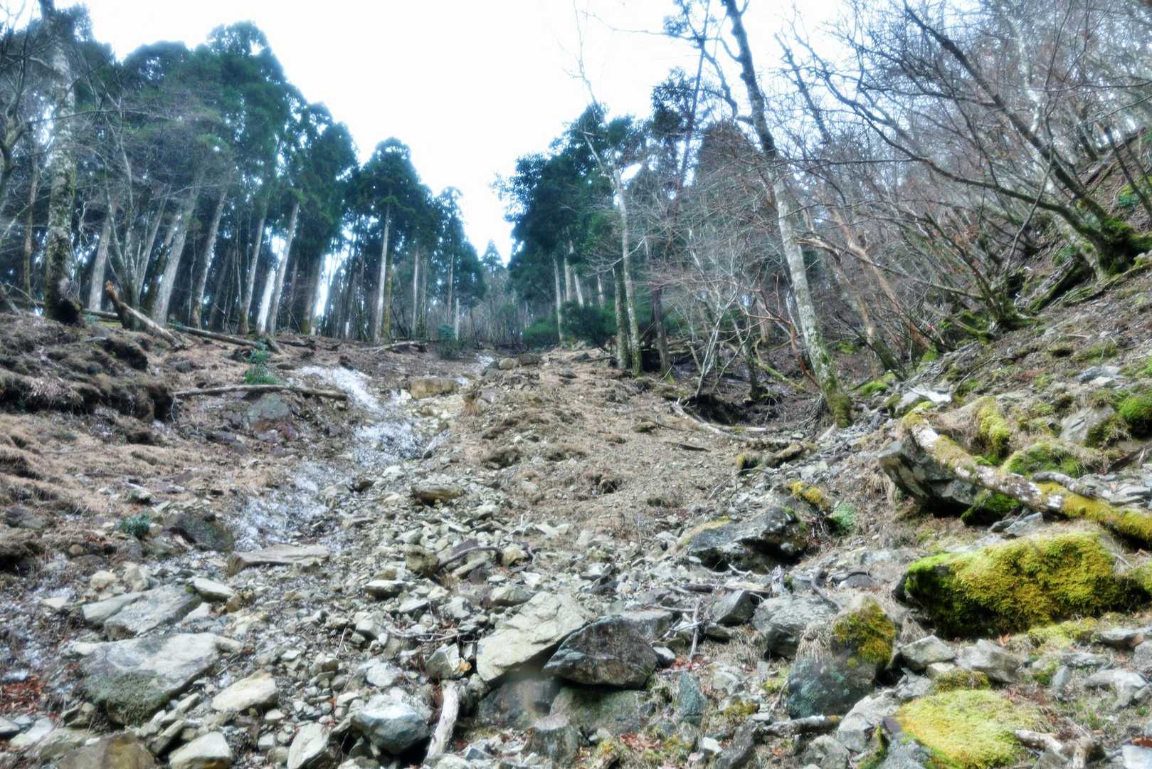 このガレ場には白く見えるのは霜柱です。
ガレ場から離れルートへ。