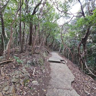 このように舗装されています