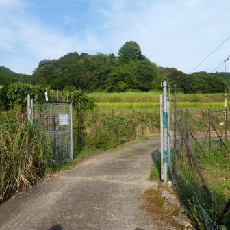 やっとゴール間近！