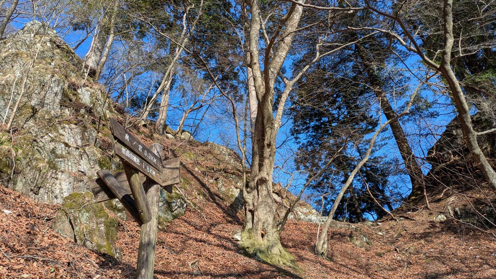 ほっと一息
ここの落ち葉地区が危ない