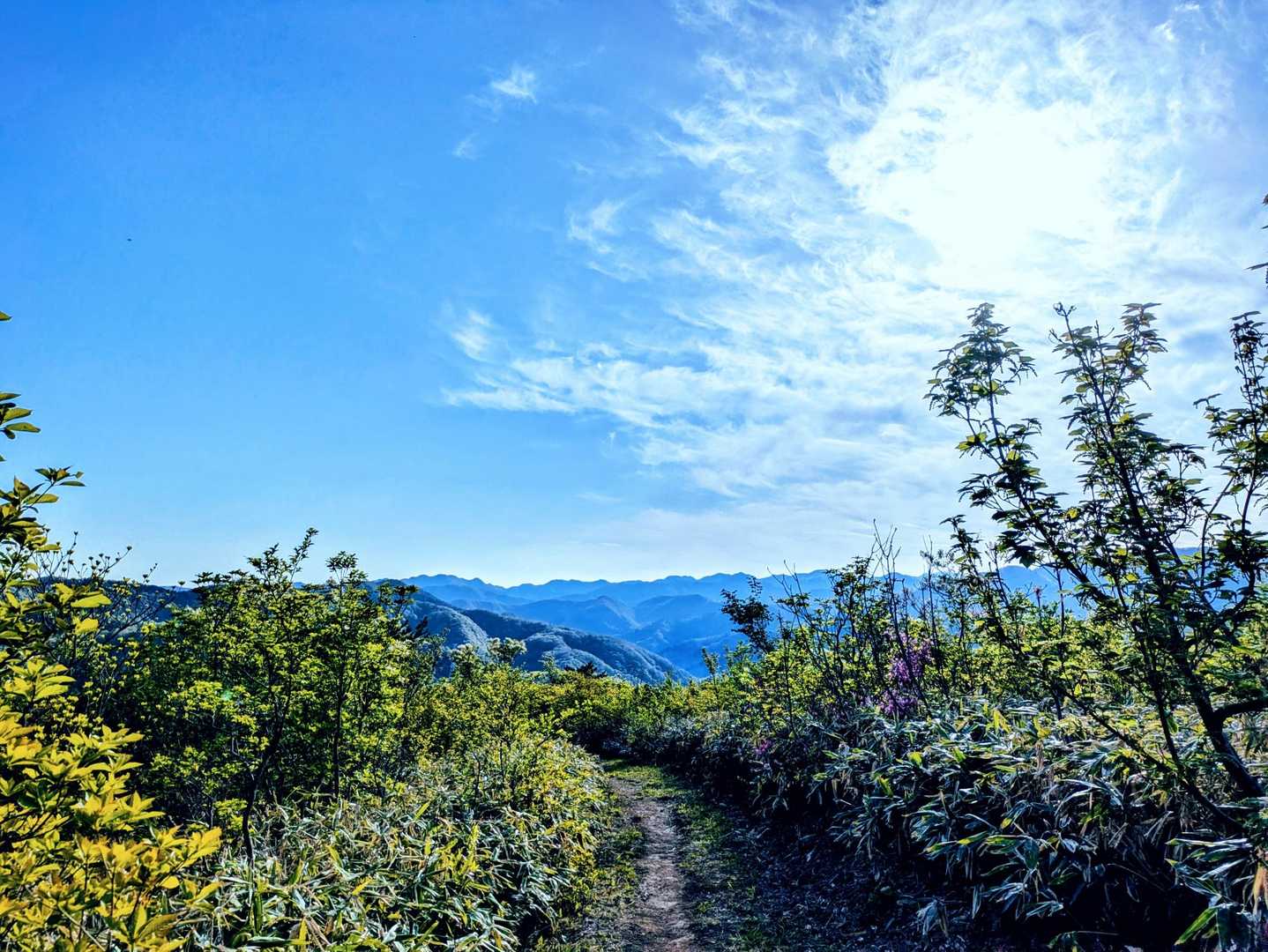 大倉岳-ほとけ峠 往復コースの写真