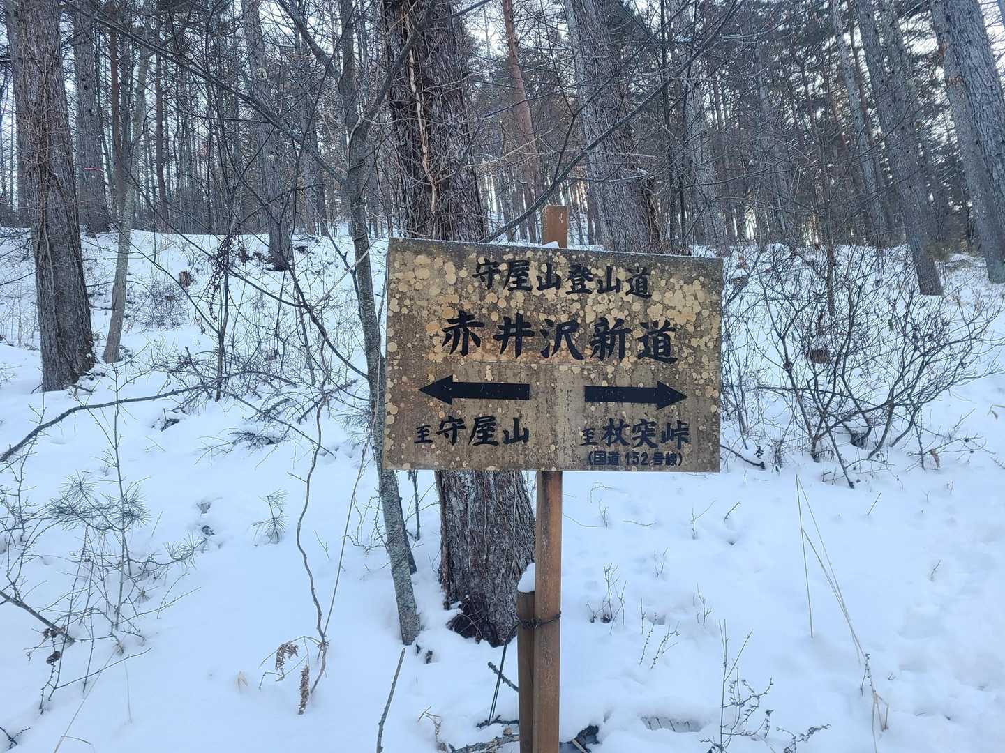 途中、林道と交差しますが
道標もあり迷うことはないです