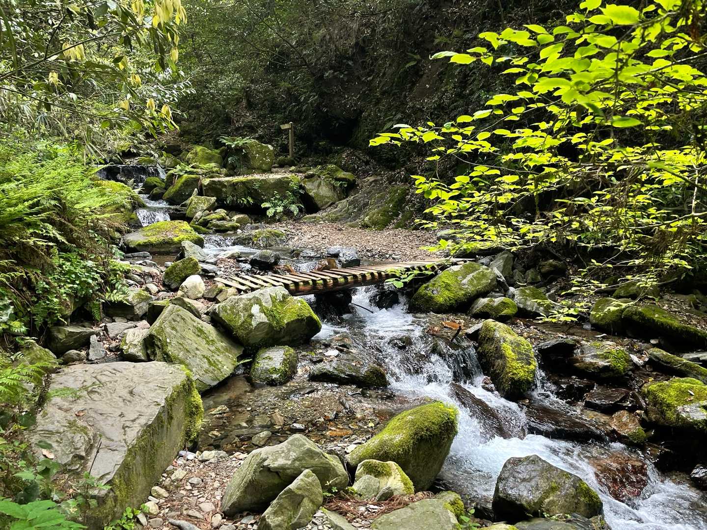 瑞梅寺登山口-井原山 往復コースの写真