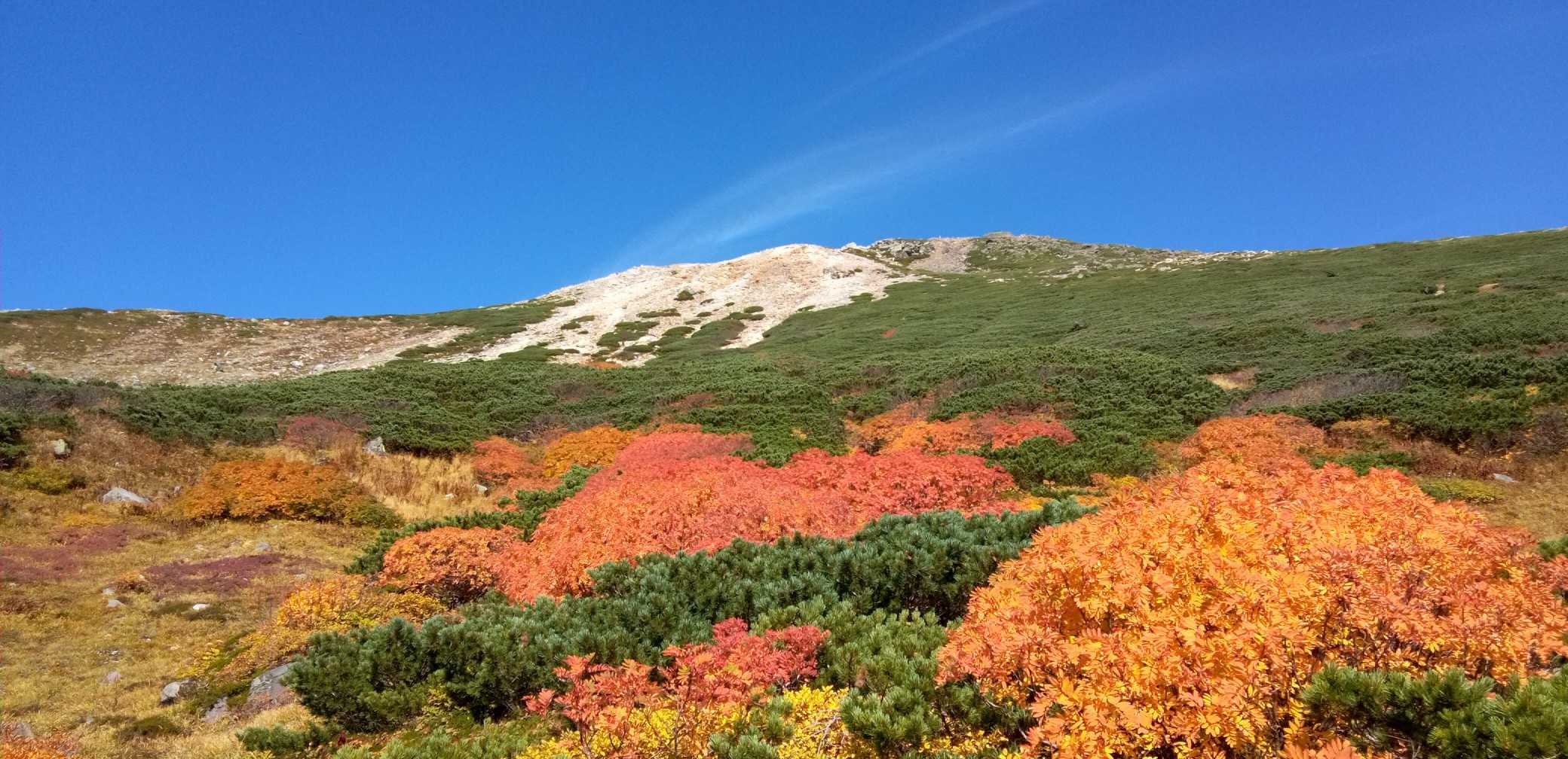 平瀬道登山口-室堂センター-白山 往復コースの写真