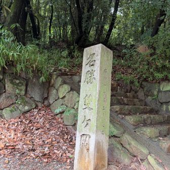 お疲れ山でした⛰️⛰️⛰️