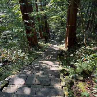 急ぎ足だけど神域だから怪我は絶対避けたい