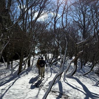 山頂でお会いしたアクチーさんと一緒に下山します⤵️