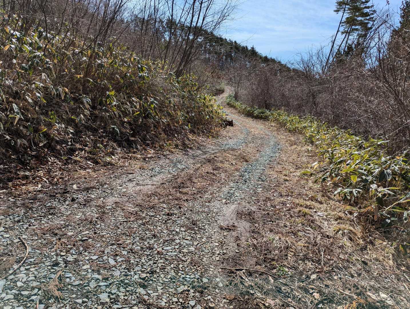 二ッ森山 往復コースの写真