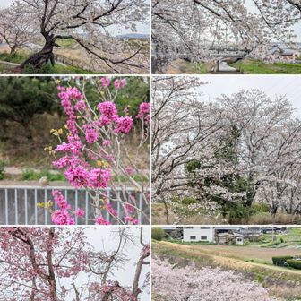 健康つくり広場🌸🌸🌸
アクトレ