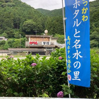 鳥川→とりかわじゃないよ、「とっかわ」
