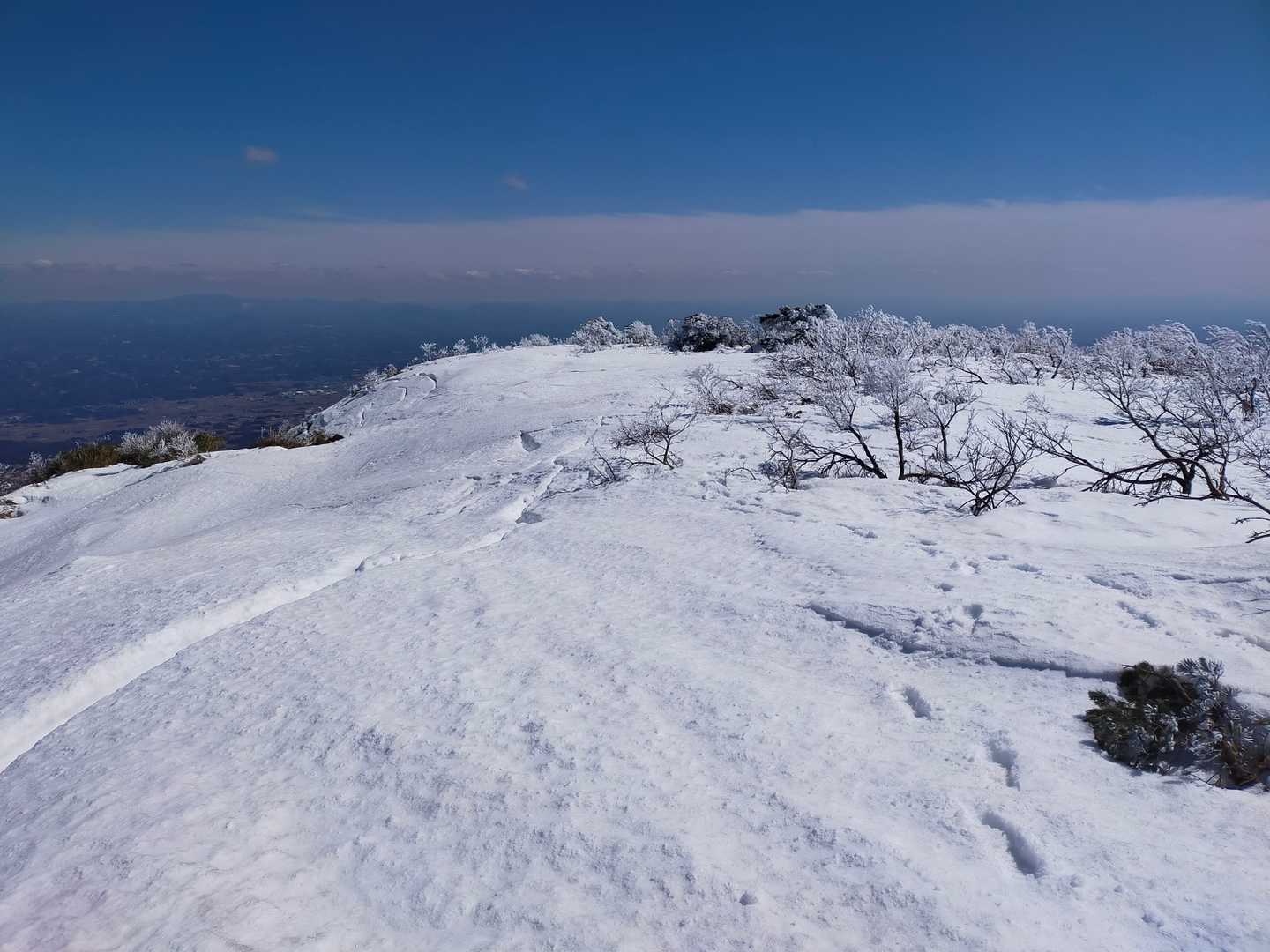 夏は眺望なしの和尚山山頂。石筵方面から踏み跡があった