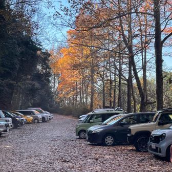 路肩まで車が駐車されてた、人気のお山。
そそくさ帰ります。孫に癒されてくる
