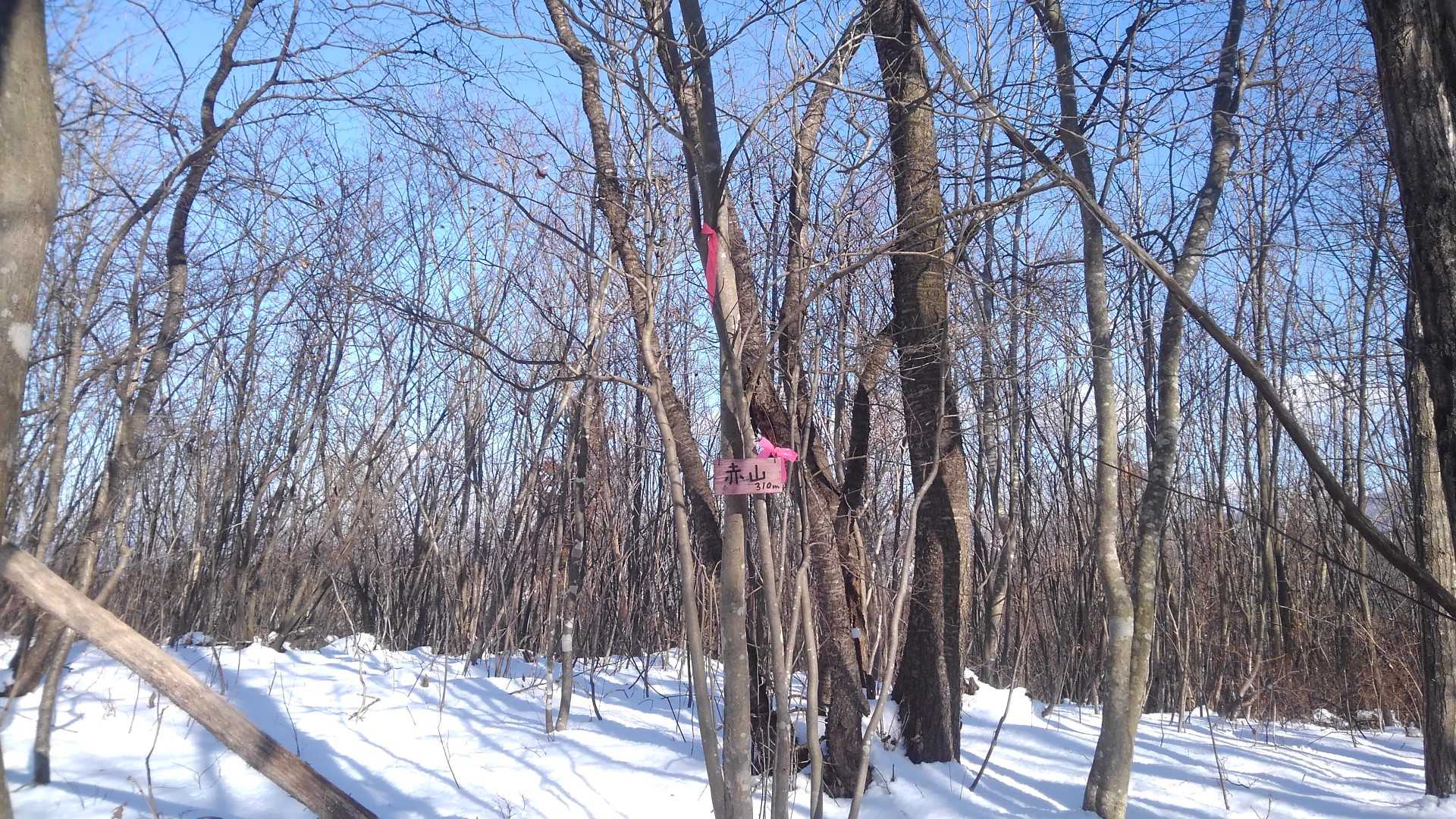 山頂。
眺望無し。
