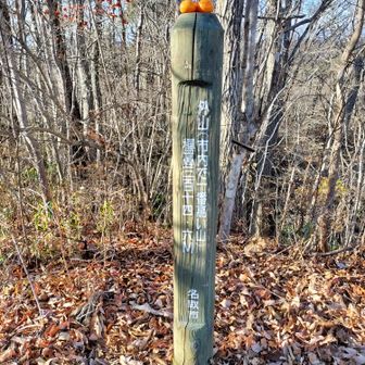 外山⛰️山頂⬆️に到着しました🚶