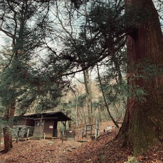 五合目に泊まる企画も考えたい。